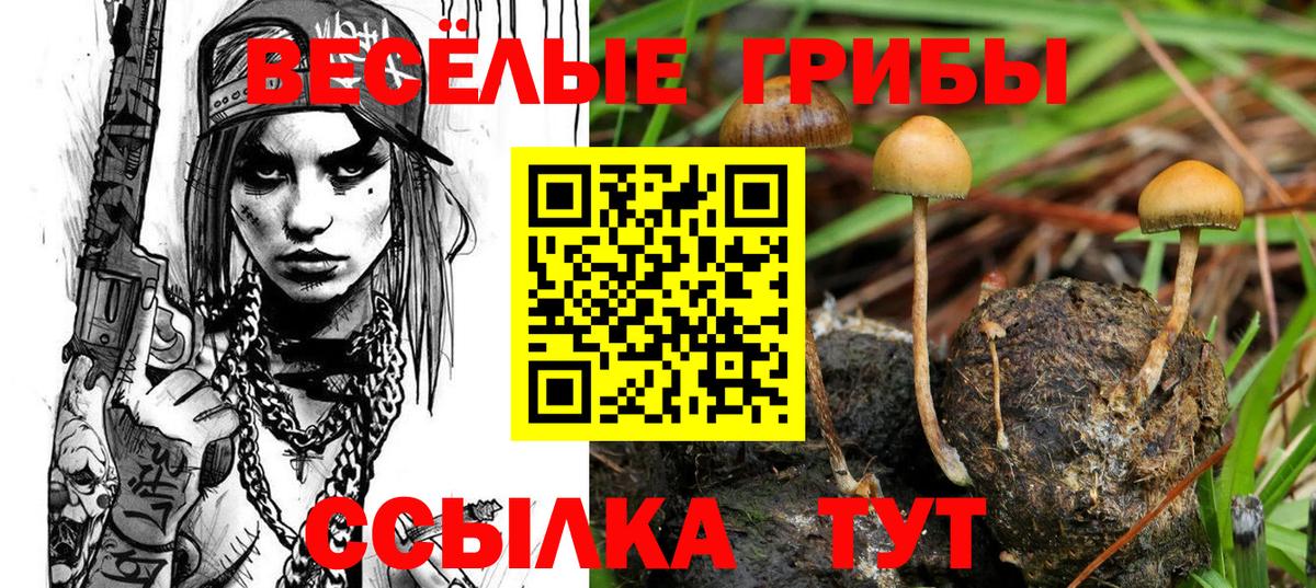 Калач-на-Дону  Псилоцибиновые грибы Magic Shrooms  Вход с VPN 